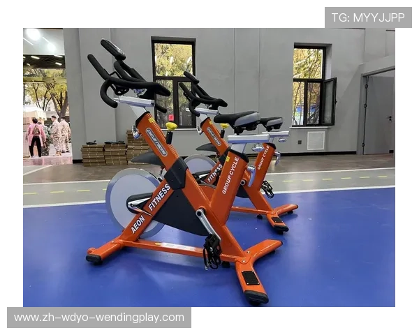 高性价比健身器材区域代理批发长期供应