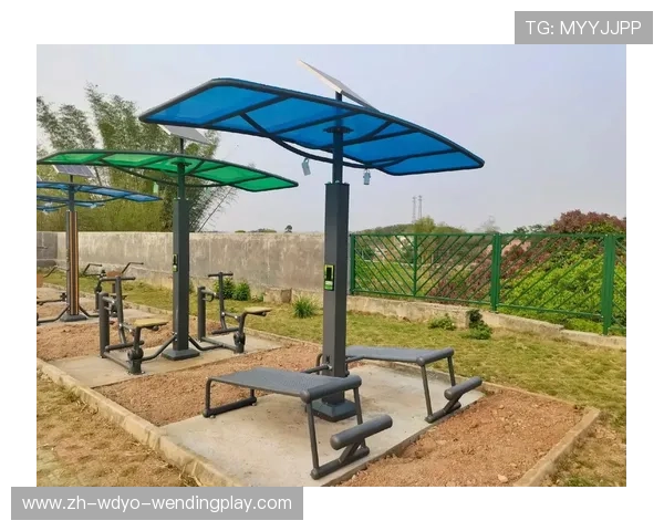 智能健身器材真的有用吗？多维数据分析与用户反馈